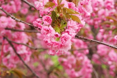 南京栖霞区6线下个人借款平台一站式服务，轻松解决资金难题