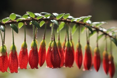 南京栖霞区6零用贷短借：轻松解决临时资金需求