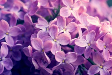 南京栖霞区6企业急用钱贷款攻略：快速融资解燃眉之急